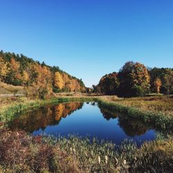 Magic Forest Farm - Just off the highway, but far away from the noise and traffic.