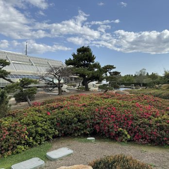 The Japanese Garden - Botanical Gardens Near Me - Van Nuys, California