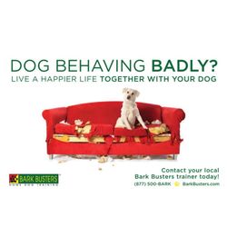 Bark Busters Pinellas County - Stop separation anxiety & destructive behavior
