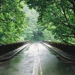 Shifting Gears Driving School - Wet roads in Vancouver