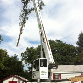 Treeworks - Tree Services Near Me - Montpelier, Vermont Treeworks - Tree Services Near Me - Montpelier, Vermont