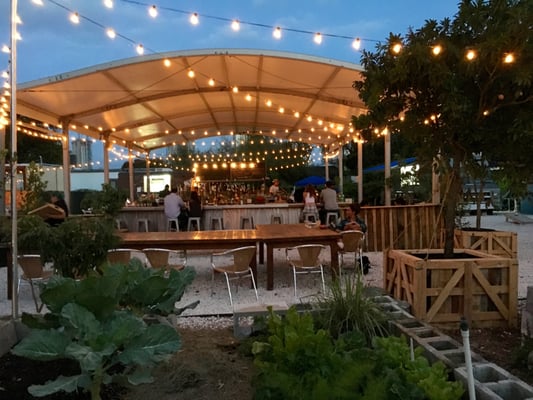 The Wynwood Yard by null
