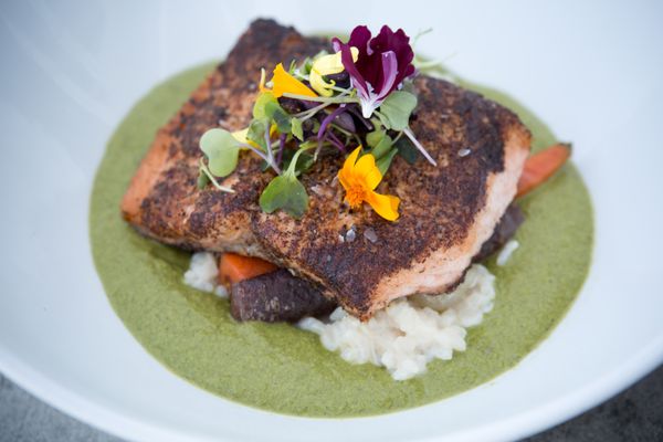 Bluefin Grille by null