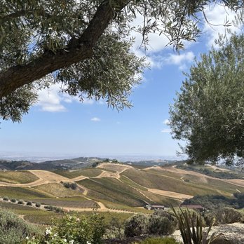 DAOU Vineyards - Landscape - Wineries Near Me - Paso Robles, California DAOU Vineyards - Landscape - Wineries Near Me - Paso Robles, California