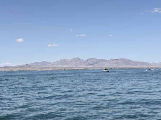 Lake Havasu State Park by null