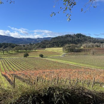 Joseph Phelps Vineyards - View - Wineries Near Me - Saint Helena, California Joseph Phelps Vineyards - View - Wineries Near Me - Saint Helena, California
