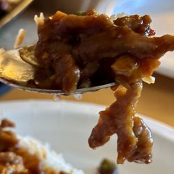 Panda House - They have sliced pork in their spicy Mapo Tofu.
