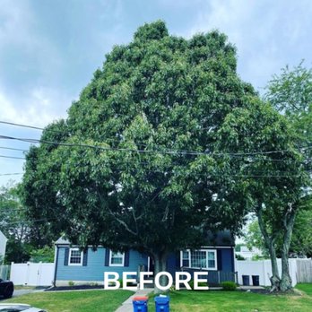 LaBier Brothers Tree Experts - Tree Services Near Me - Ware, Massachusetts LaBier Brothers Tree Experts - Tree Services Near Me - Ware, Massachusetts