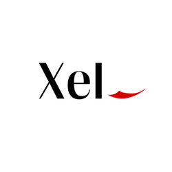 Xel Advisors - cpa, cpa firm, accounting, audit, tax, payroll, xel, xel advisors