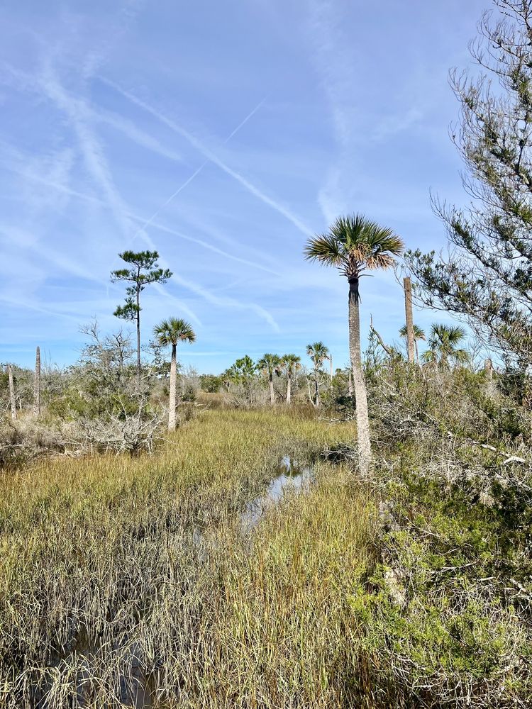 Castaway Island Preserve Image