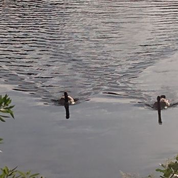 Lake Natoma Waterfront Access Trail - Hiking Near Me - Folsom, California
