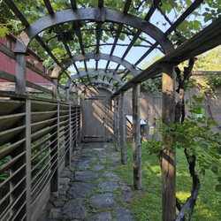 The Mission House - Back yard