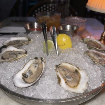 Sunny's Steakhouse - East Coast oysters - Cocktail Bars Near Me - Miami, Florida Sunny's Steakhouse - East Coast oysters - Cocktail Bars Near Me - Miami, Florida
