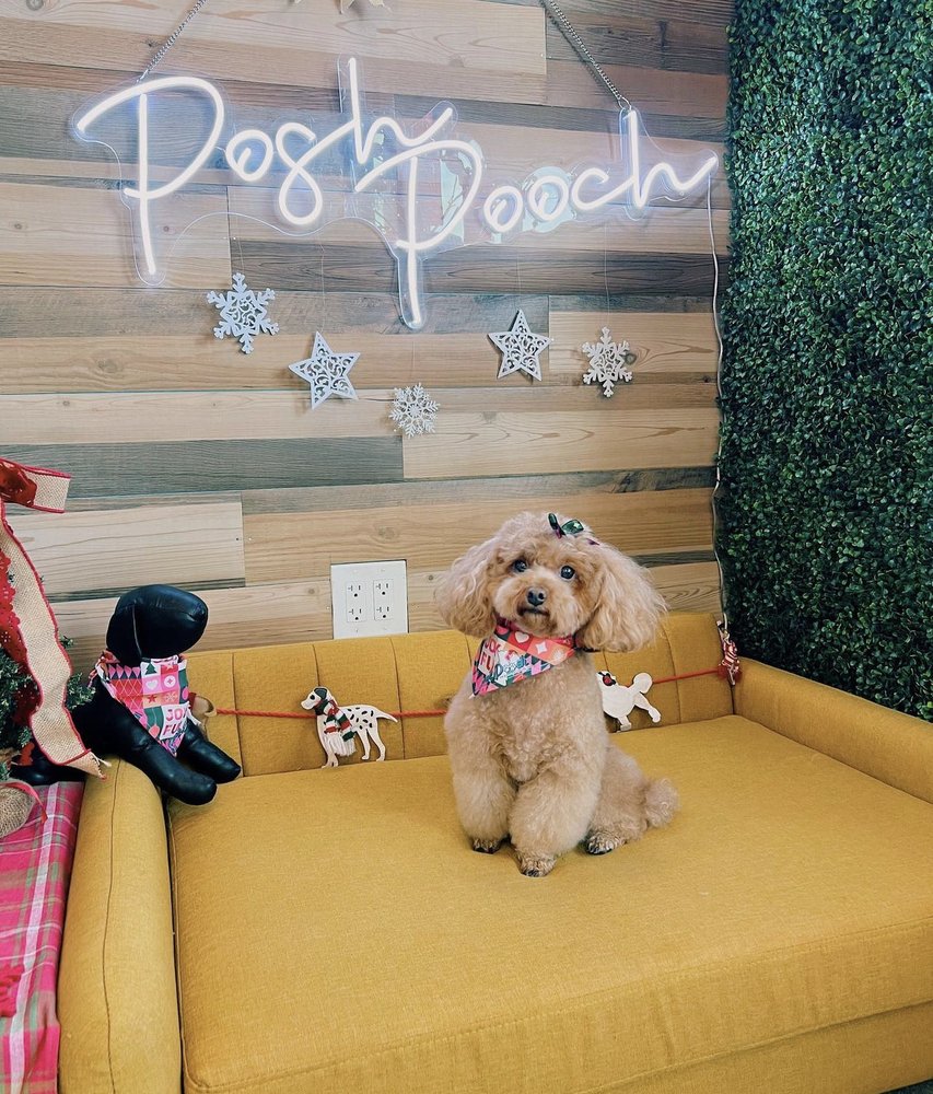 POSH POOCH 58 Photos & 112 Reviews 350 Main St, Seal Beach, CA Yelp