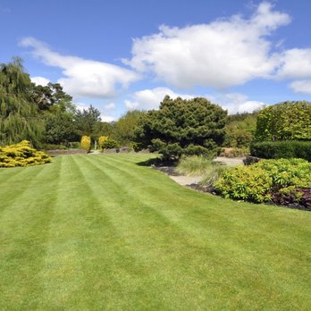 1. Beautiful Lawn And Tree Care