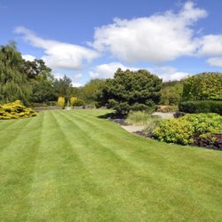 Beautiful Lawn And Tree Care