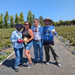 Byron grower organic farm