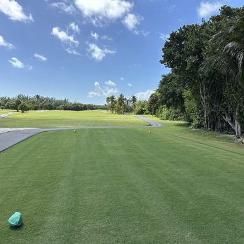 Biltmore Golf Course - Tee Box - Golf Near Me - Coral Gables, Florida
