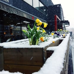 Hasle Torg - Synes litt synd på blomstene