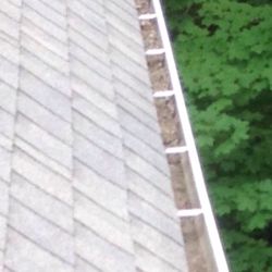 Canandaigua Window Cleaning - Gutter not cleaned, stated they didn't have scaffolding.  Came out one week prior to quote cleaning