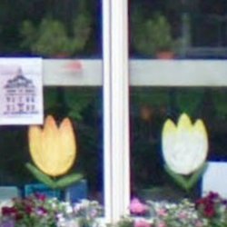 Kralingsche School
