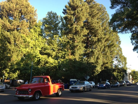 Healdsburg Plaza by null