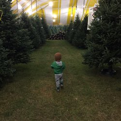 Mikes Christmas Trees