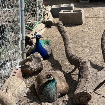 Loma Vista Farm - Attraction Farms Near Me - Vallejo, California
