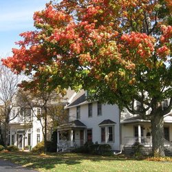 The Willowicke Inn - Autumn at the inn