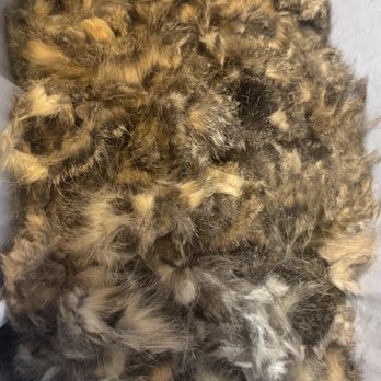 Glitterati Paw Spa - All the hair I avoided having to vacuum over the next few months - Pet Groomers Near Me Glitterati Paw Spa - All the hair I avoided having to vacuum over the next few months - Pet Groomers Near Me