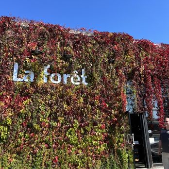 La Forêt - Coffee & Tea Near Me - Burnaby, British Columbia La Forêt - Coffee & Tea Near Me - Burnaby, British Columbia