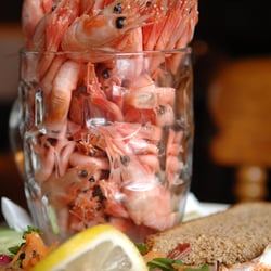The Poole Arms - Pint of Prawns