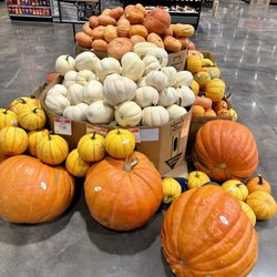 Rouses Market - Inside (pumpkin patch)