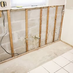 Trilogy Restoration - Mold Remediation