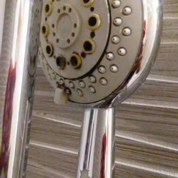 Hotel Indigo Brooklyn - Mold growing out of the shower-head! I will update with the room # when I find my invoice. UPDATE: I was assigned Rm 307. - Hotels Near Me - Brooklyn, New York Hotel Indigo Brooklyn - Mold growing out of the shower-head! I will update with the room # when I find my invoice. UPDATE: I was assigned Rm 307. - Hotels Near Me - Brooklyn, New York