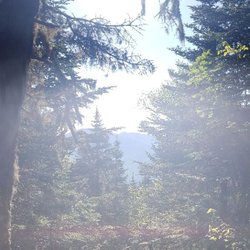 Adirondack Land Trust