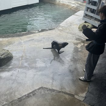 Ocean World - Aquariums Near Me - Crescent City, California