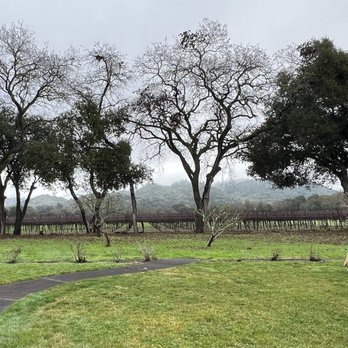 Father's Touch - Tree Services Near Me - Healdsburg, California