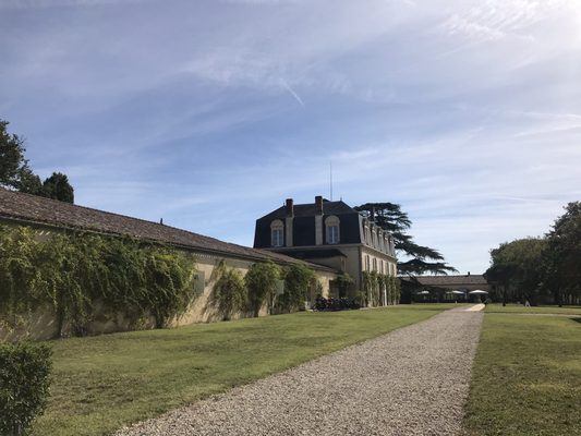 Château Guiraud by null