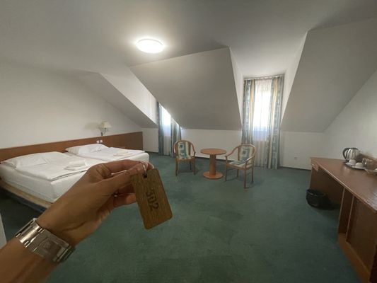 Hotel Dvořák by null