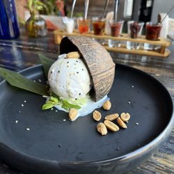 Sala Modern Thai Kitchen & Bar - Coconut ice cream