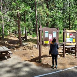Grizzly Falls Picnic Area