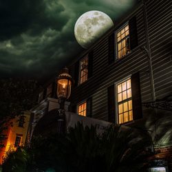 Savannah Terrors