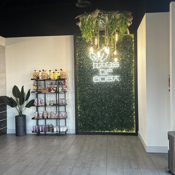 Haus Of Boba - Coffee & Tea Near Me - Sachse, Texas Haus Of Boba - Coffee & Tea Near Me - Sachse, Texas