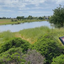 Elk Grove Creek Trail - View