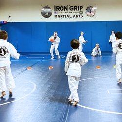 Iron Grip martial arts - Fun!