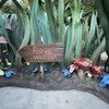 Pixie Hollow gift card