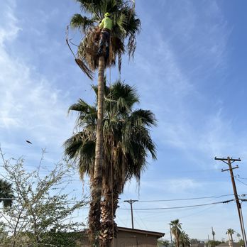Morales Landscapes - Landscaping Near Me