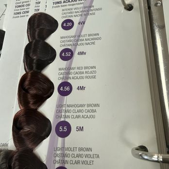 Twisted Elegance Salon - One of many hair swatches to select for color choices. Entire process was explained prior to manage expectations. - Blow Dry/Out Services Near Me - Atlanta, Georgia