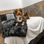 D Pet Hotels Scottsdale